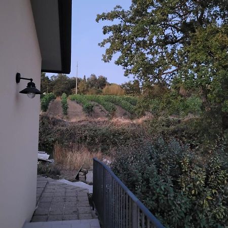 La Residenza Di Campagna Manciano Exterior foto